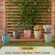 Set of 5 Plastic Flower Pots for Home & Garden (Aro)