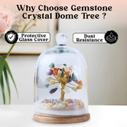 JD FRESH Original Certified Seven Chakra Crystal Tree with Glass Dome/Natural Gemstone Tree/Natural Healing Gemstone Bonsai for Meditation/Wealth/Vaastu/Office/Desk/Decor Gifts