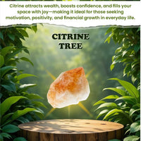 Citrine Gemstone Tree for Abundance-(300 Beads)