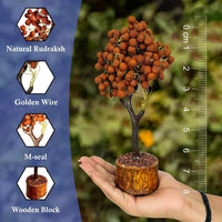 300 Beads Rudraksha Tree for Peace/Protection/Positive Energy
