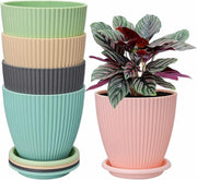 Set of 5 Plastic Flower Pots for Home & Garden (Round)