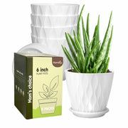 Set of 5 Plastic Flower Pots for Home & Garden (Wave)