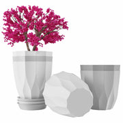 Set of 5 Plastic Flower Pots for Home & Garden (Aro)